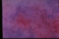 327007 Purple Dream A4 Photo Print