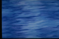 327009 Blue Wave A4 Photo Print