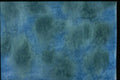 327013 Aqua Green A4 Photo Print