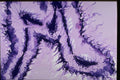 327022 Elastic Blue A4 Photo Print