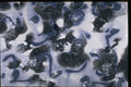 327030 Winter Wonder A4 Photo Print