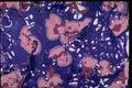 327033 Rain Patterns A4 Photo Print