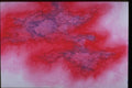 327080 Pink Mist A4 Photo Print
