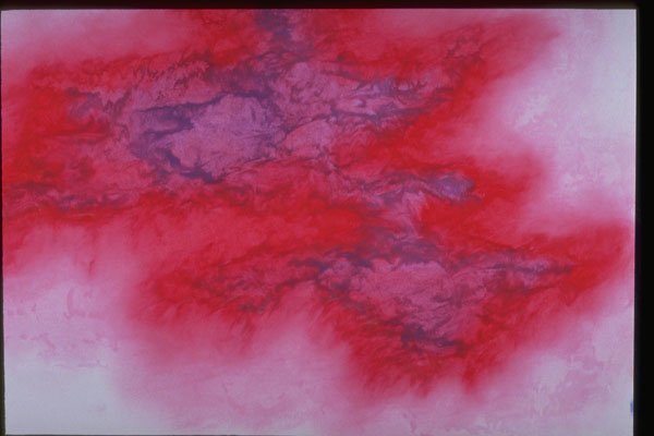 327080 Pink Mist A4 Photo Print