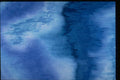 327085 Gracefully Blue A4 Photo Print