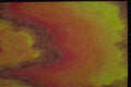 327087 Warm Glow A4 Photo Print