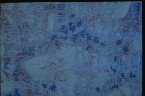 327088 Blue Marble A4 Photo Print