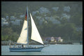 328006 Wild Oats Departing Ocho Rios A4 Photo Print