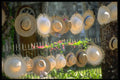 328010 Handmade Hats For Sale, Port Antonio A4 Photo Print