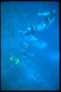 328012 First Dive On The Reef, Point Village, Negril A4 Photo Print