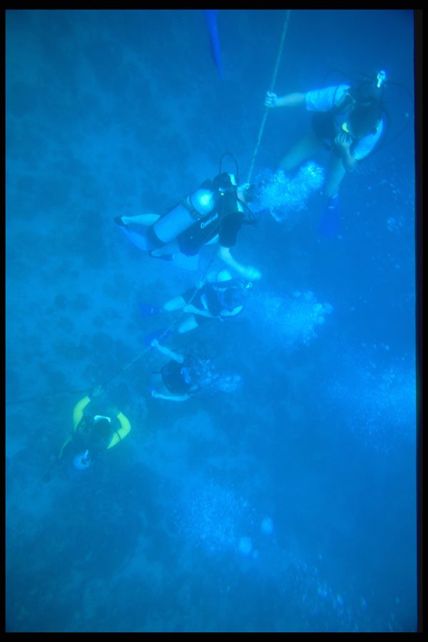 328012 First Dive On The Reef, Point Village, Negril A4 Photo Print