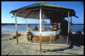 328015 Open Air Bar, Discovery Bay A4 Photo Print