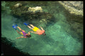 328049 Snorkeling The Crystal Waters, Point Village, Negril A4 Photo Print