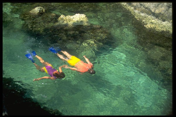328049 Snorkeling The Crystal Waters, Point Village, Negril A4 Photo Print