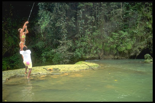 328056 The Tarzan Vine, YS Falls Near Negril A4 Photo Print