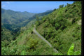 328072 Blue Mountain Highway A4 Photo Print