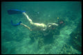 328081 Exploring The Reef, Point Village, Negril A4 Photo Print