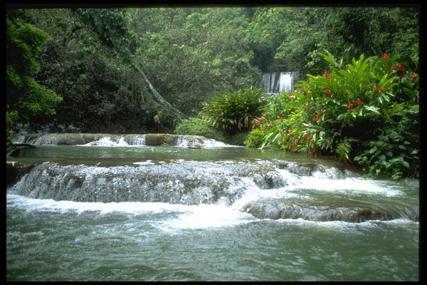 328089 Cascades, YS Falls, Near Negril A4 Photo Print