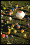 329041 Big Balloons little People, Albuquerque A4 Photo Print