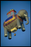 329066 Thailand Elephant  A4 Photo Print