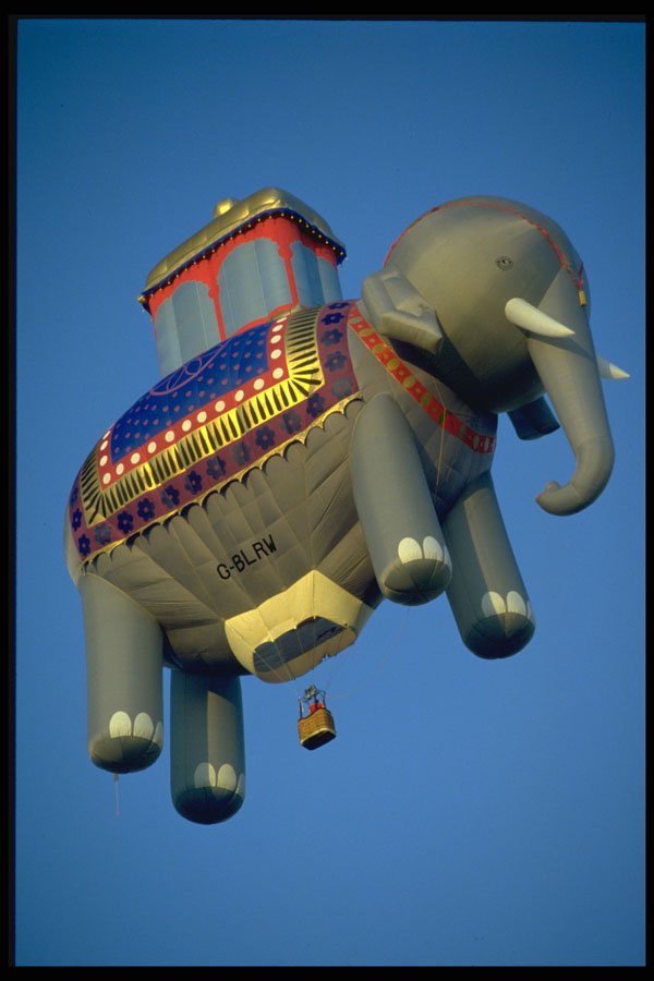 329066 Thailand Elephant  A4 Photo Print