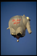 329095 Oliphant German Elephant A4 Photo Print