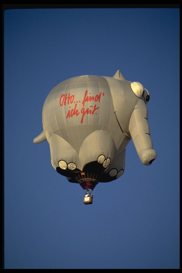 329095 Oliphant German Elephant A4 Photo Print