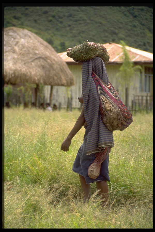 330002 Woman, Market Bound A4 Photo Print