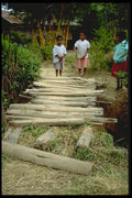 330008 Foot Bridge A4 Photo Print
