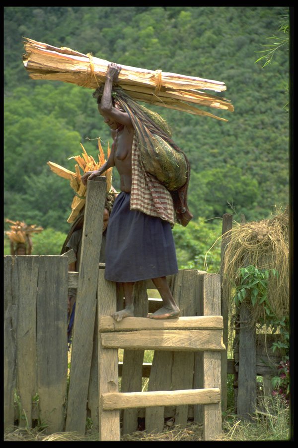 330011 Firewood Merchant, Market Bound A4 Photo Print