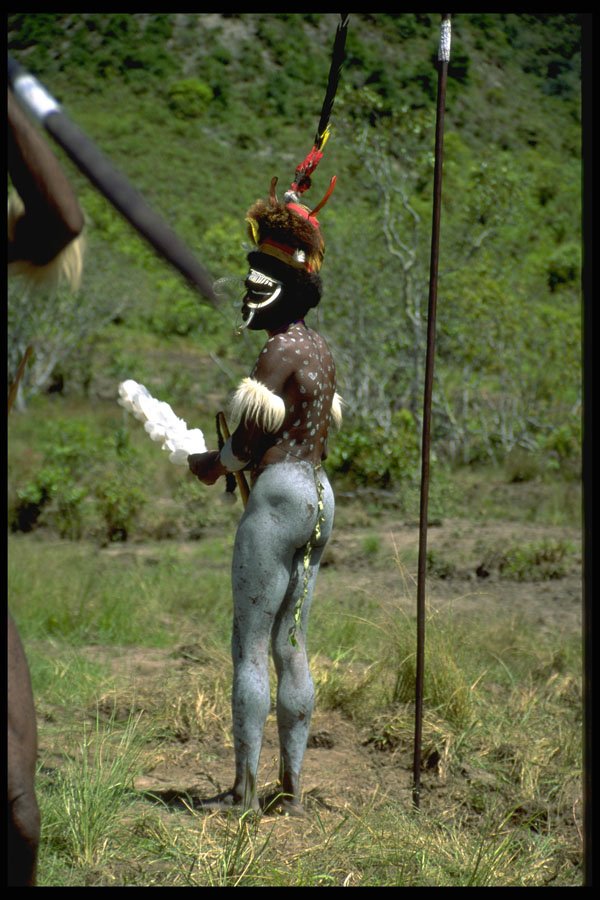 330016 Dani Warrior A4 Photo Print