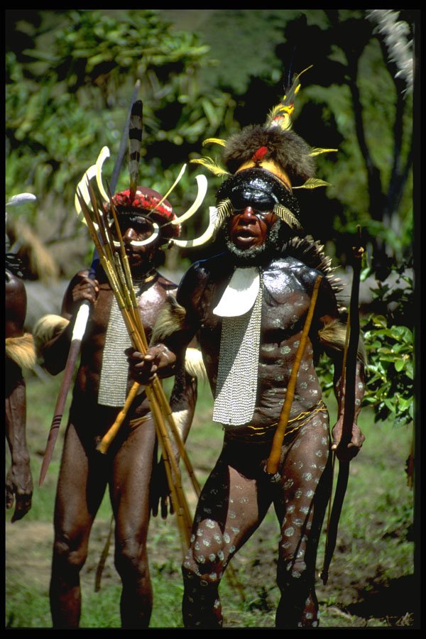 330021 Dani Warriors A4 Photo Print