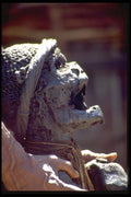 330065 Profile Of Mummified Tribal Chief A4 Photo Print