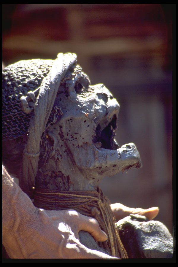 330065 Profile Of Mummified Tribal Chief A4 Photo Print