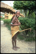 330075 Yali With Hoop Skirt A4 Photo Print