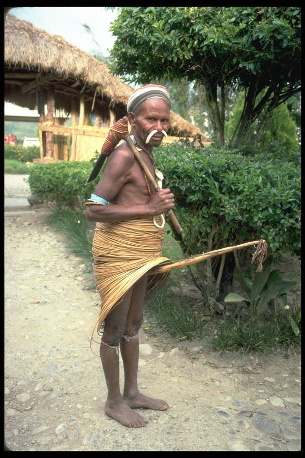 330075 Yali With Hoop Skirt A4 Photo Print