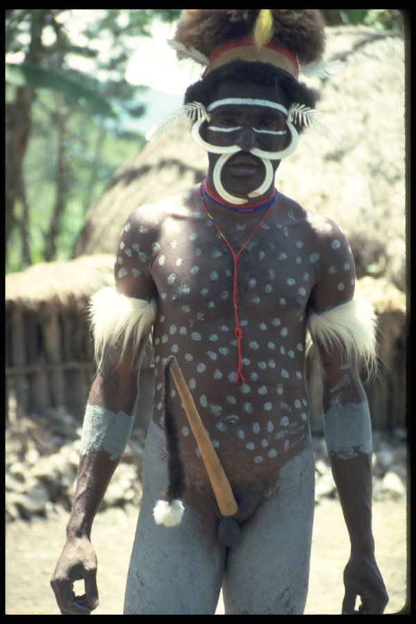 330081 Jiwiki Warrior A4 Photo Print