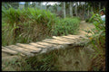 330088 Foot Bridge A4 Photo Print