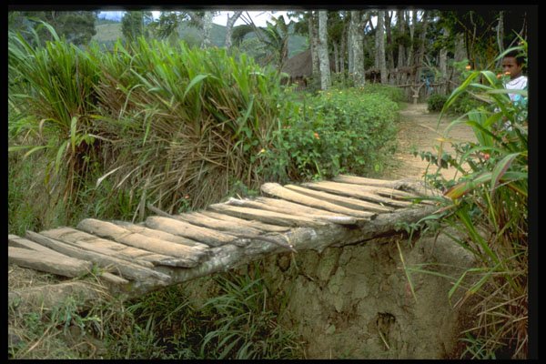 330088 Foot Bridge A4 Photo Print