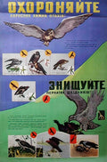3301229 Advert A4 Photo Print