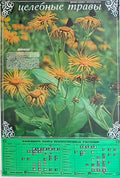3305181 Advert A4 Photo Print