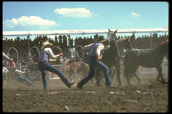 331000 Horse Racing A4 Photo Print
