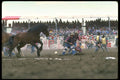331001 Horse Racing A4 Photo Print