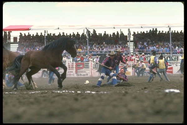 331001 Horse Racing A4 Photo Print