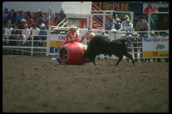 331003 Clown Bullfighting A4 Photo Print