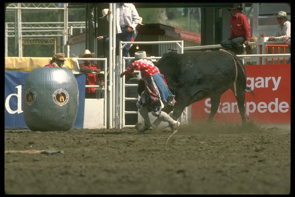 331005 Rodeo Clowns A4 Photo Print