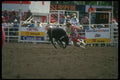 331006 Clown Bullfighter A4 Photo Print