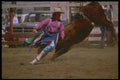 331007 Bullfighter A4 Photo Print