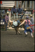 331017 Boys Steer Riding A4 Photo Print