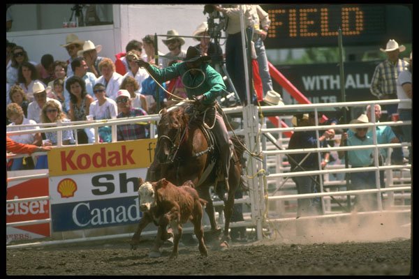 331020 Calf Roping A4 Photo Print